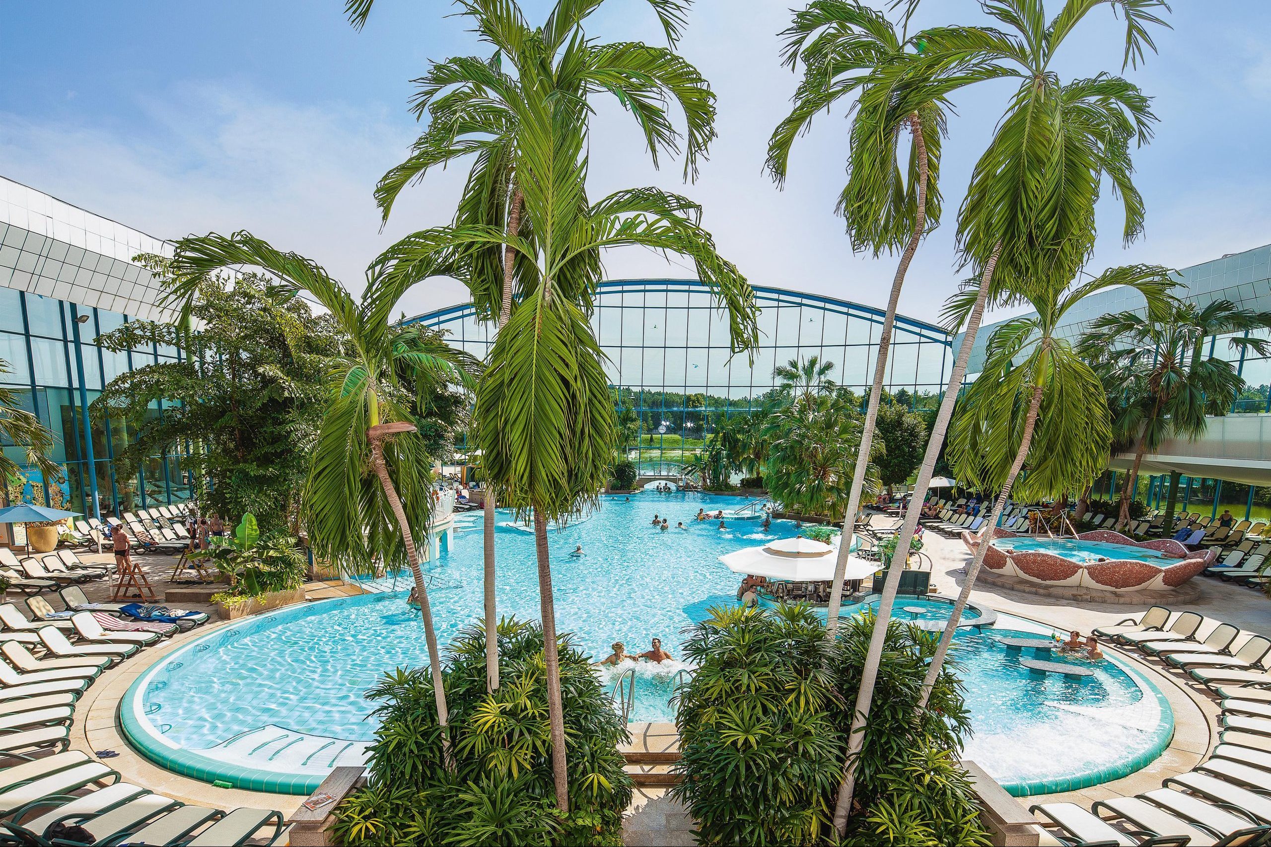 Relax under Palm trees